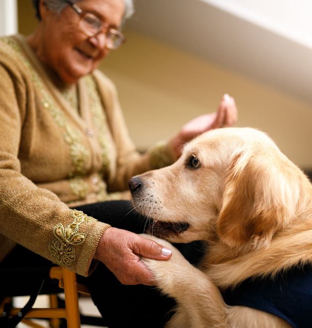 Animal Assisted Therapy in San Antonio
